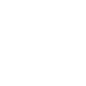 the florentine